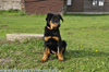 beauceron-net.de