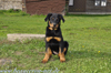 beauceron-net.de