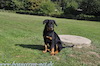 beauceron-net.de