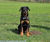 beauceron-net.de