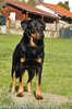 beauceron-net.de